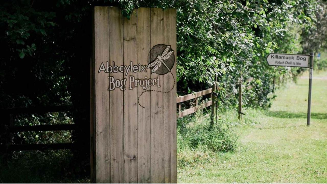 The Abbeyleix Manor Hotel Ngoại thất bức ảnh